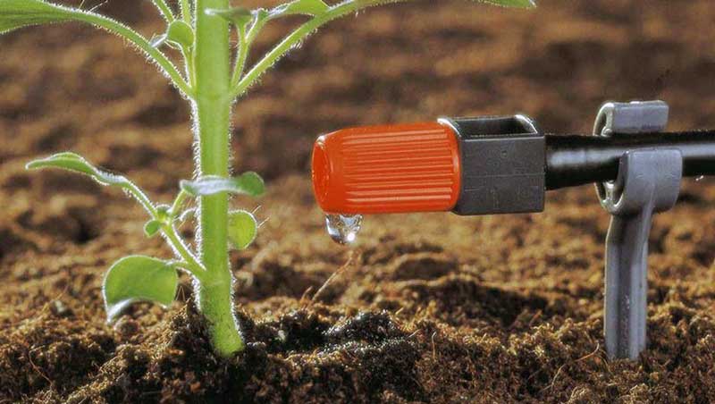 مزایای آبیاری قطره‎ای